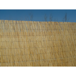 CAÑIZO TIPO BAMBU