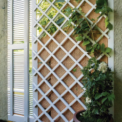 CELOSIA EXTENS PVC BLANCA