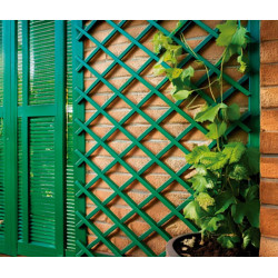 CELOSIA EXTENSIBLE PLASTICO VERDE
