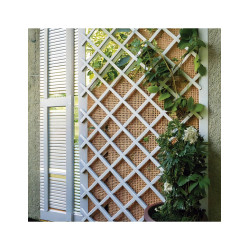 CELOSIA EXTENSIBLE PLASTICO BLANCO