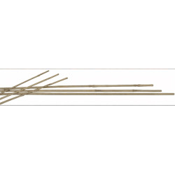 MAZO 4 TUTORES BAMBU 150 CM