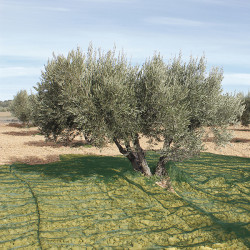 MANTA RECOGER OLIVA/ALMENDRA VERDE