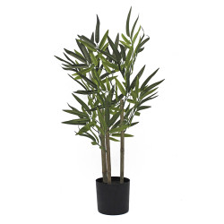 ARBOL BAMBU TRONCO NATURAL