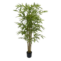 ARBOL BAMBU TRONCO NATURAL