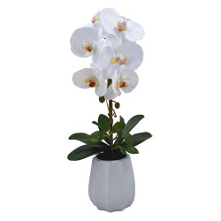 PLANTA PHALENOPSIS C/MACETA CERAMICA