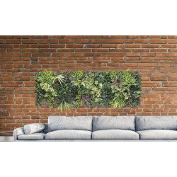 JARDIN VERTICAL BELICE