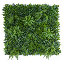 JARDIN VERTICAL AMAZONAS