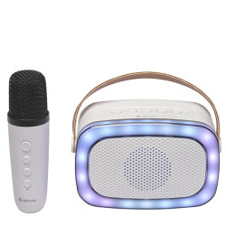ALTAVOZ BLUETOOTH CON MICROFONO BTM-610
