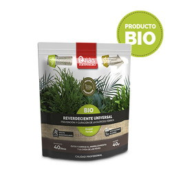 REVERDECIENTE UNIVERSAL BIO C/15 SOBRES