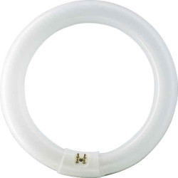 TUBO FLUORESCE CIRCULAR T9 840 G10Q 409MM