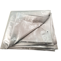 TOLDO MULTIUSO PLATA 115 GRS