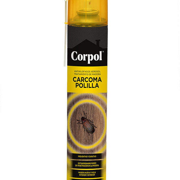 INSECTICIDA CARCOMA AEROSOL