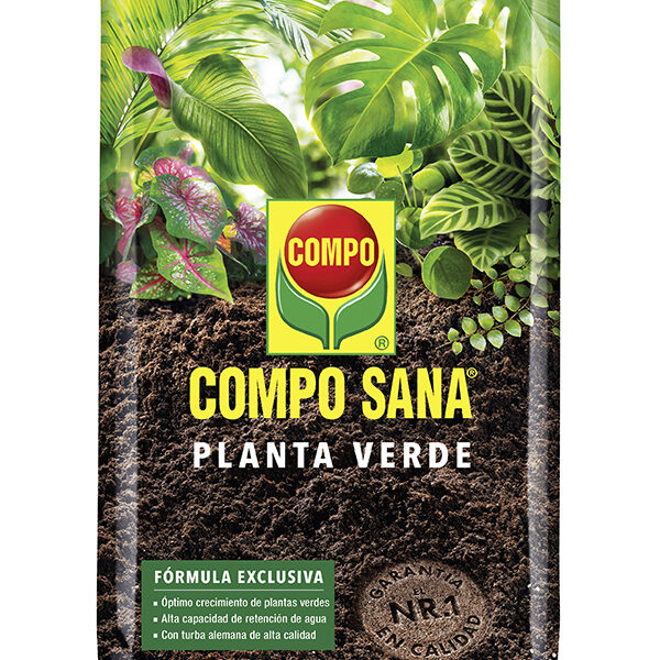 TIERRA MACETA PLANTA VERDE