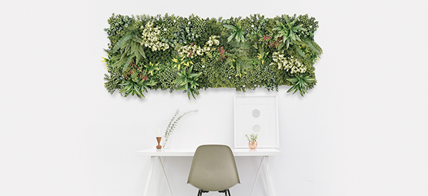 JARDIN VERTICAL COSTA RICA