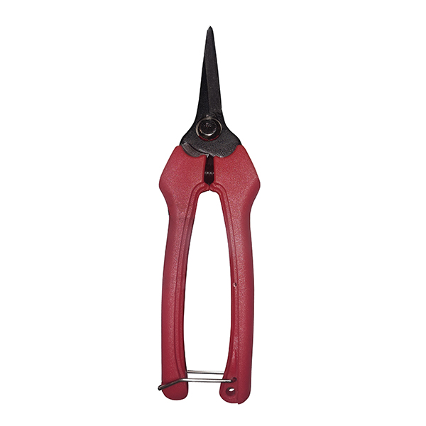 TIJERA RECOLECCION HOJA RECTA