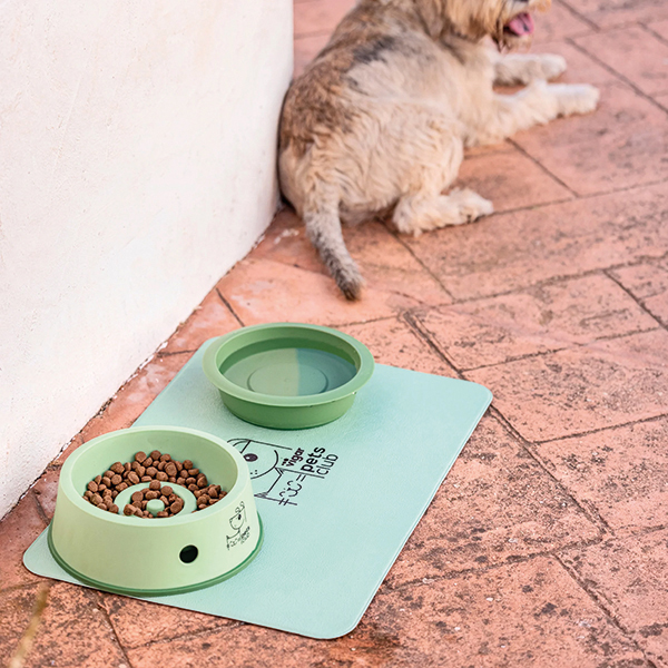 COMEDERO MASCOTAS VERDE